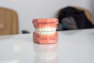 5 Questions to Ask Your Sydney Denture Clinic When Getting Dentures for the First TimeIllustration
